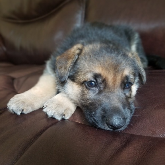 Meet your Posher, Miriam - Picture 1 of 1